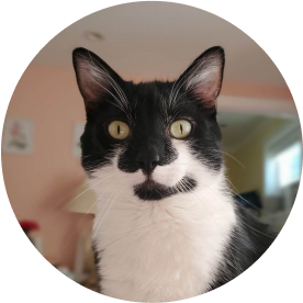 Burt 🦜 Chief Parrot Officer