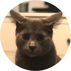 Klaus 🐟 Executive Assistant of Sales