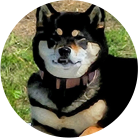 Luna 🍞 Vice Pawsident of International Affection