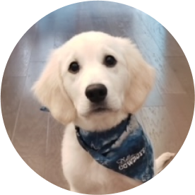 Ryder 🐿️ Product Durability Tester